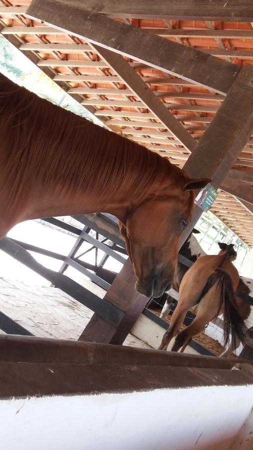 Flat Fazenda Monte Castelo-Ao Lado Da Piscina Apartman Gravatá Kültér fotó